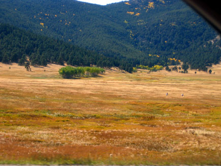 The beautiful hues and textures of the Colorado grasses